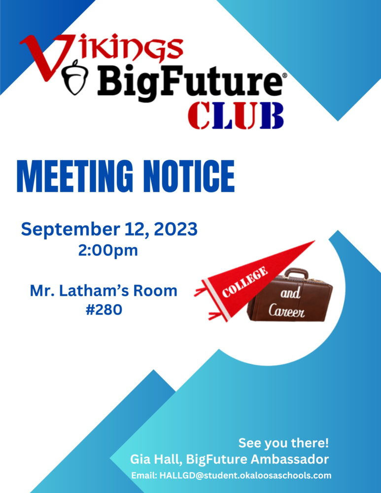 Viking Big Future Club