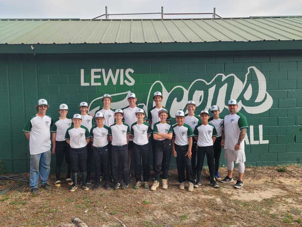 Lewis Falcons baseball team, featuring four Stingers! 