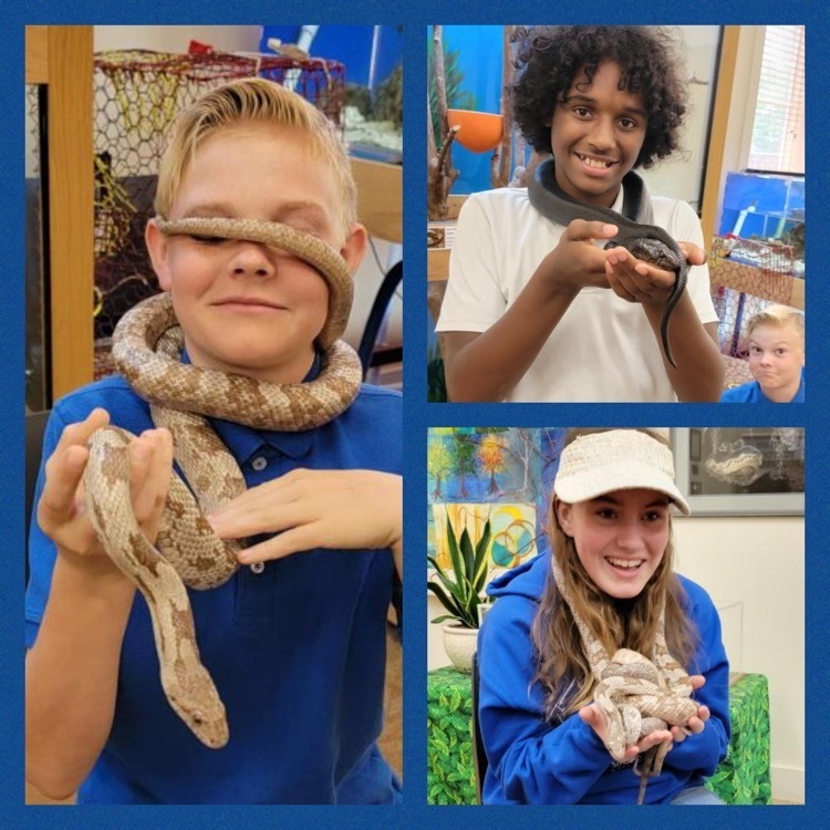 7th graders holding snakes
