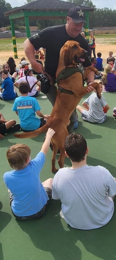  OCSO for sharing your amazing K9s